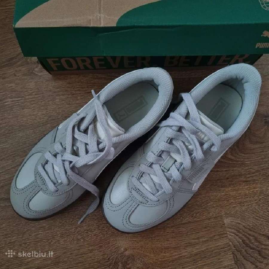 Puma odiniai