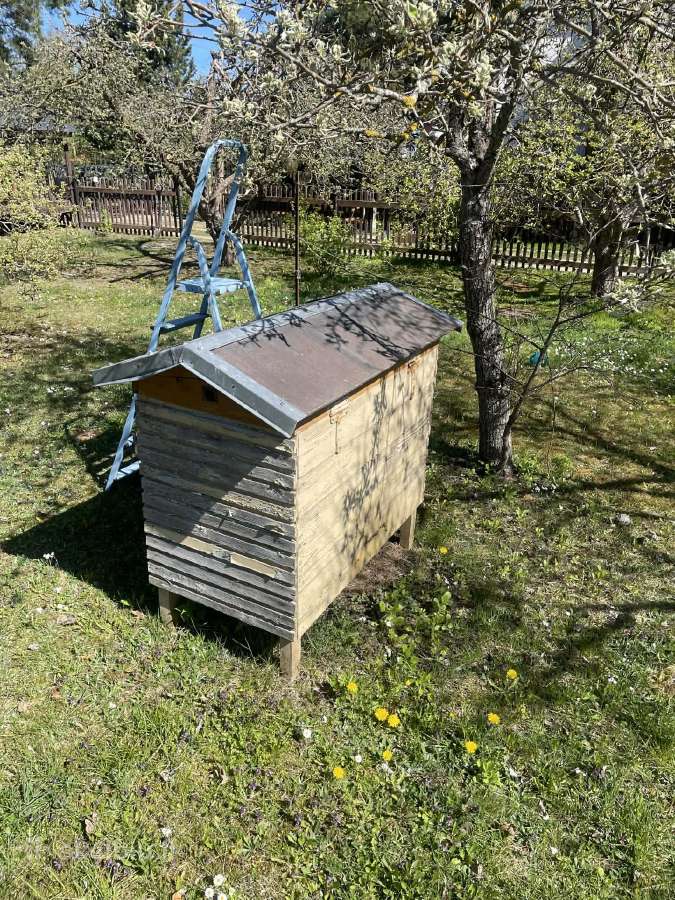 Parduodami Bičių Aviliai Ir Inventorius