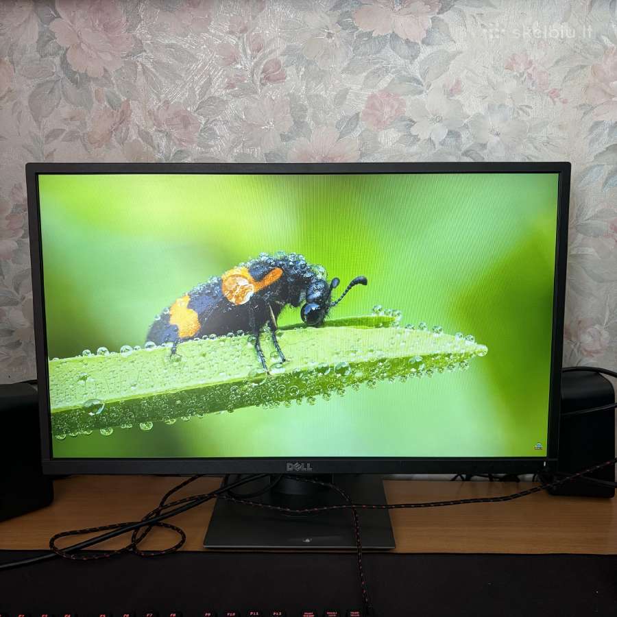 Dell p2417h 24 60hz ips - nuotraukos Nr. 9