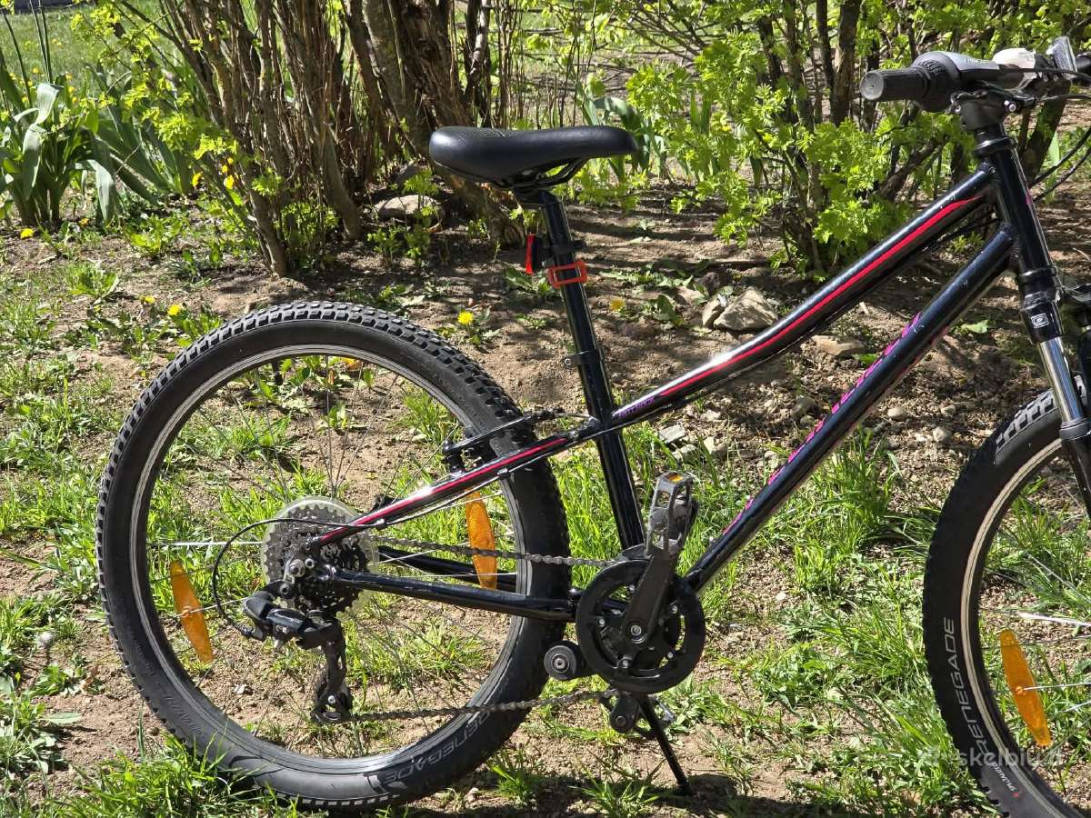Dviratis Specialized - nuotraukos Nr. 5