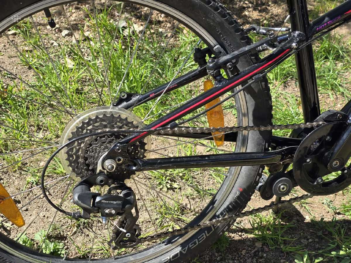 Dviratis Specialized - nuotraukos Nr. 8