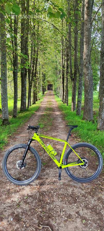 Cannondale F-Si carbon Lefty