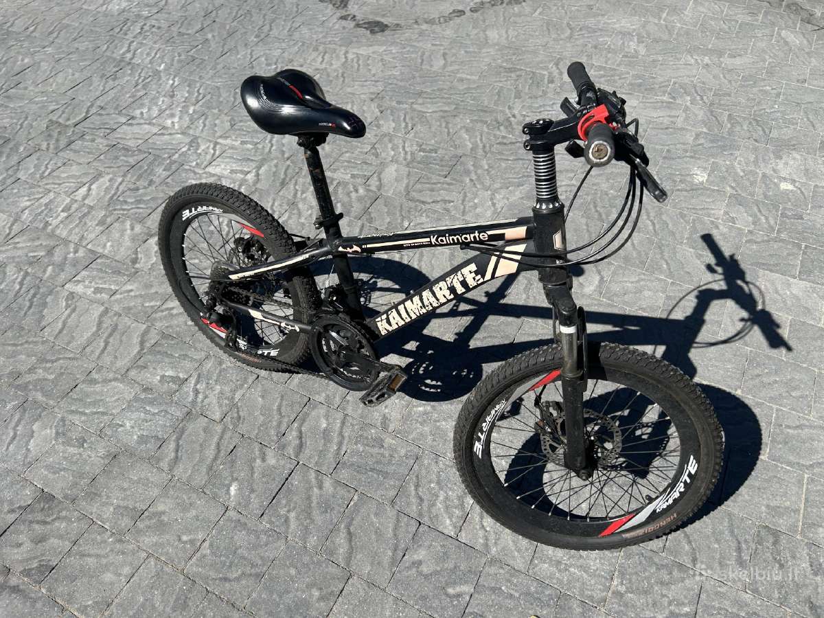 MTB dviratis 20