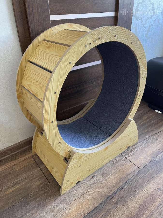 Bėgimo ratas katinui