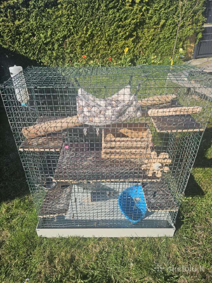 Parduodu erdvų šinšilos / degu / graužiko narvą su