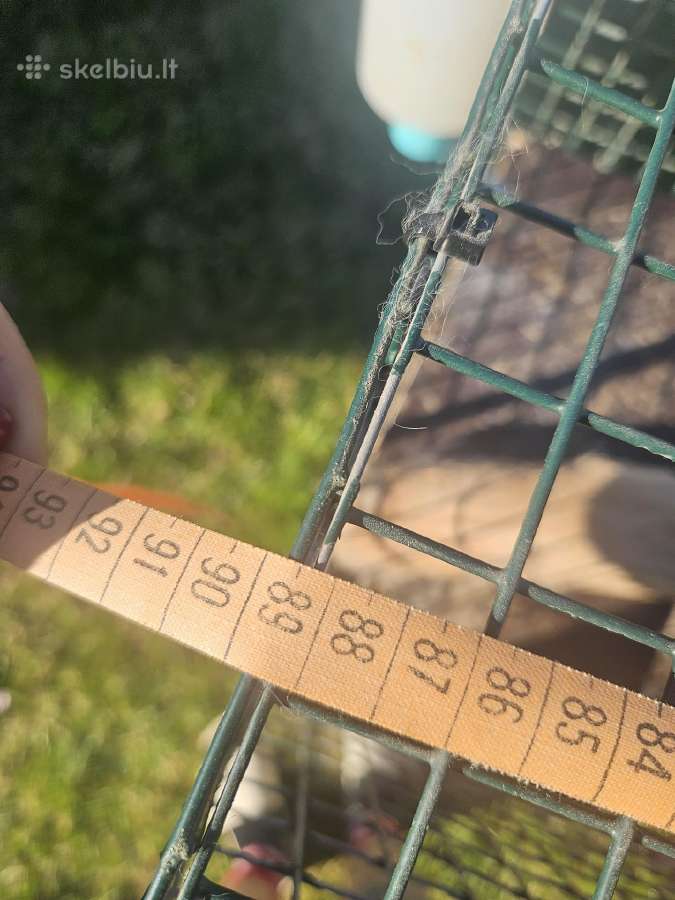 Parduodu erdvų šinšilos / degu / graužiko narvą su - nuotraukos Nr. 3