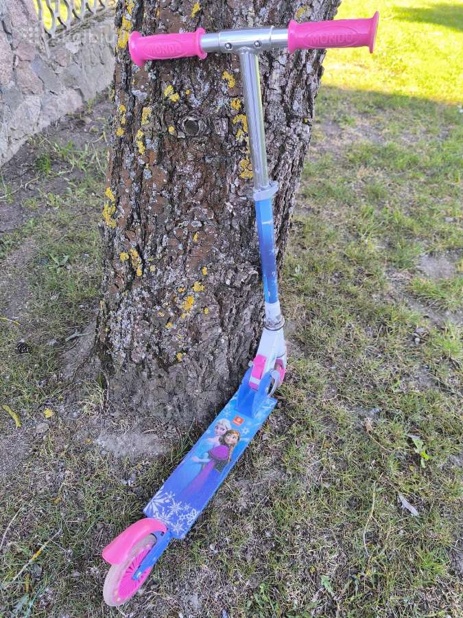Paspirtukas su Elza