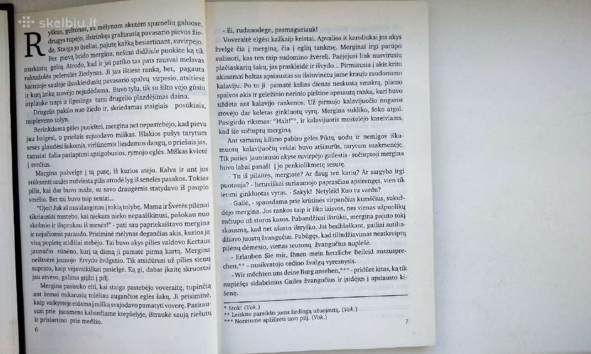 Skomantas. Užkeiktas lobis. 1995 m. leid. - nuotraukos Nr. 4