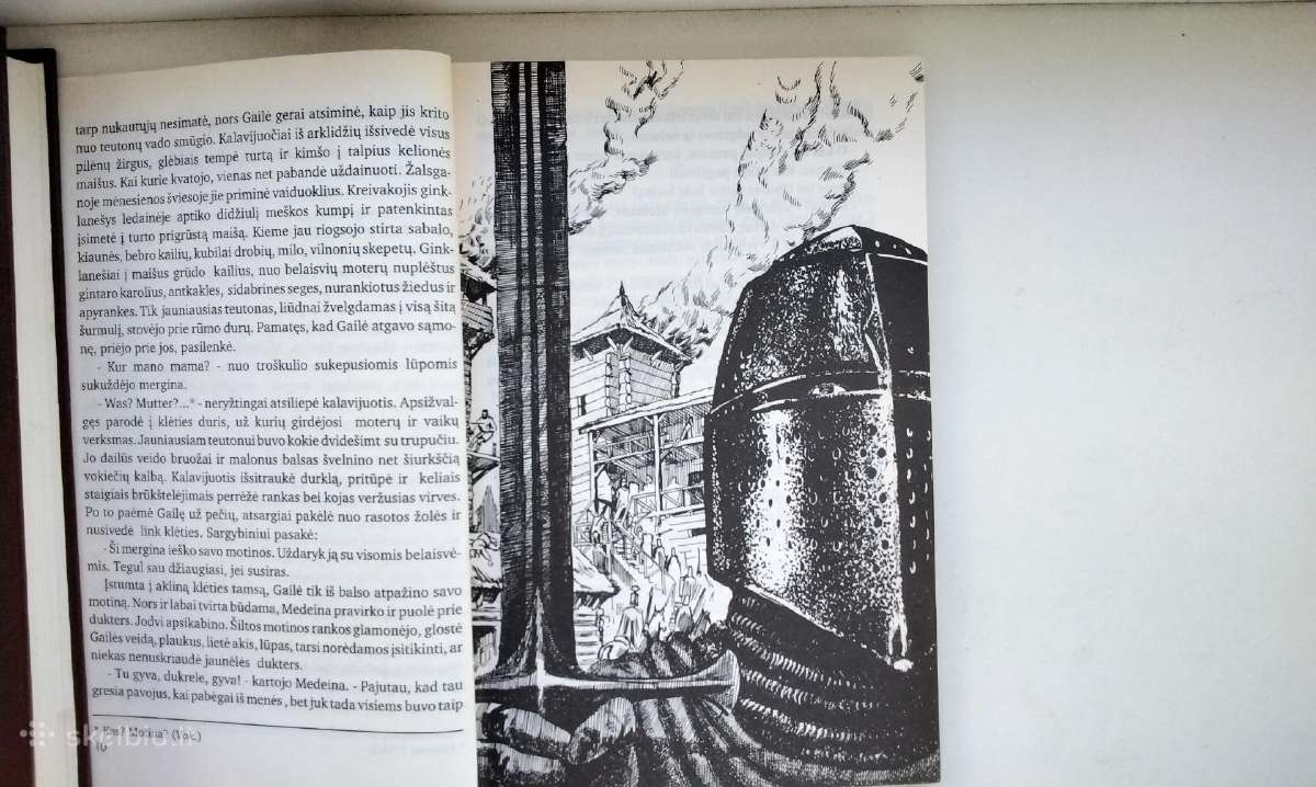 Skomantas. Užkeiktas lobis. 1995 m. leid. - nuotraukos Nr. 6