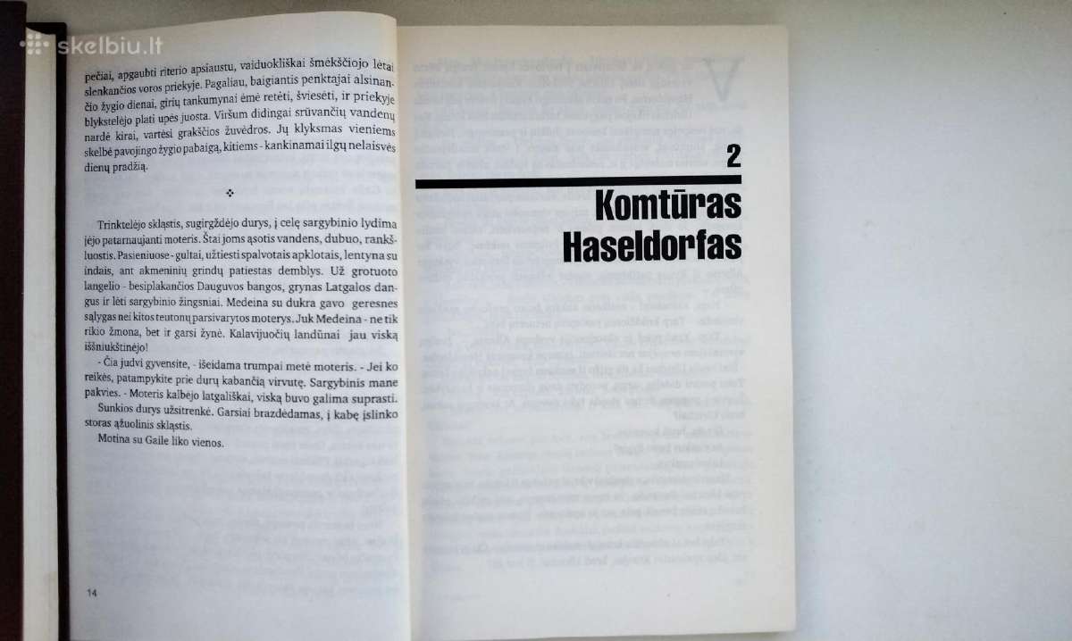 Skomantas. Užkeiktas lobis. 1995 m. leid. - nuotraukos Nr. 7