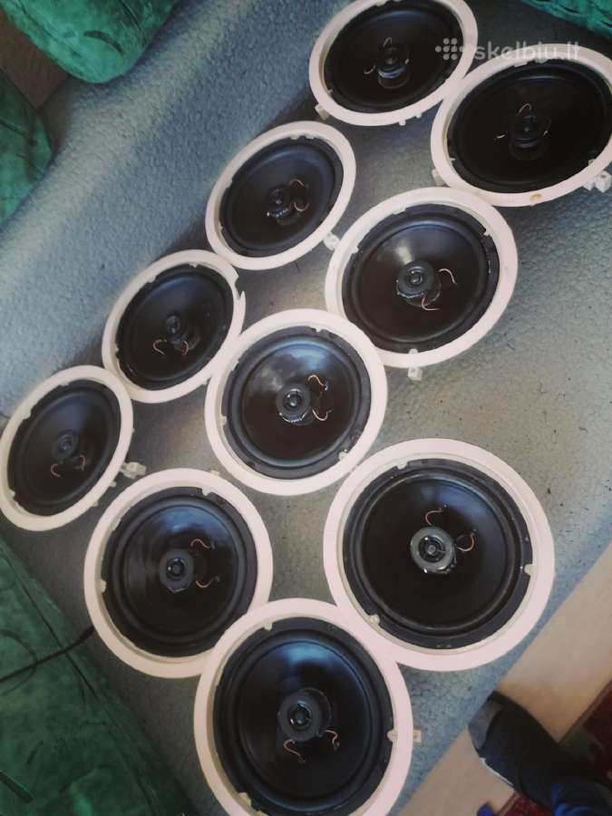 Kaloneles