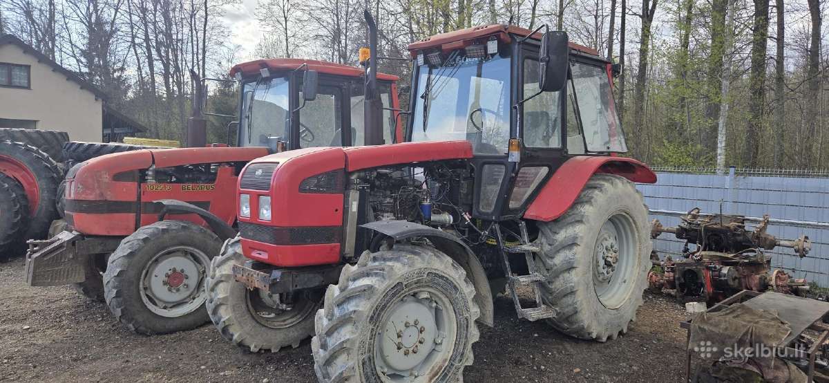 Mtz Dalimis