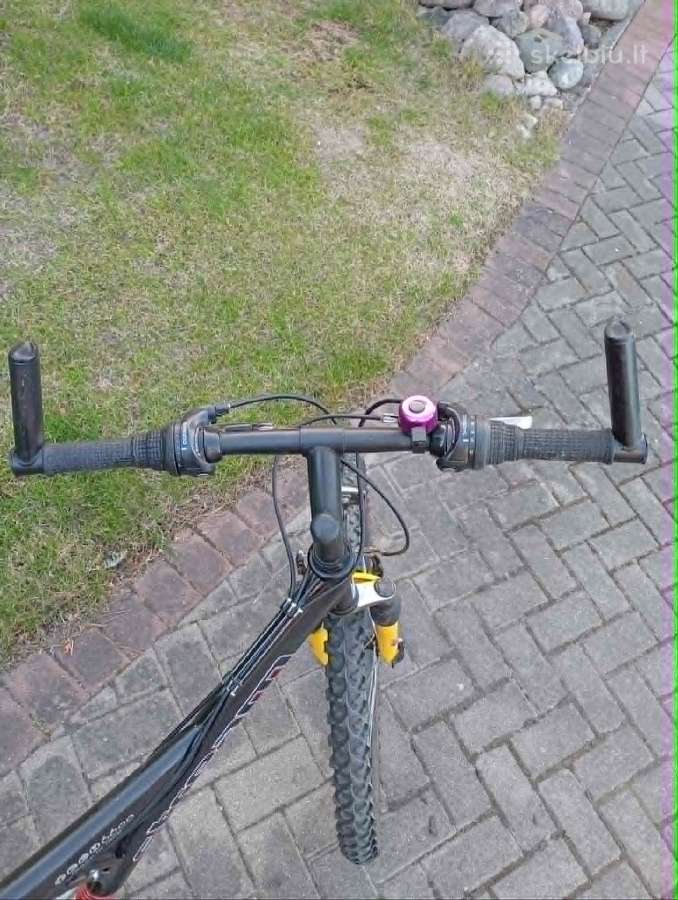 Tvarkingas dviratis - nuotraukos Nr. 9