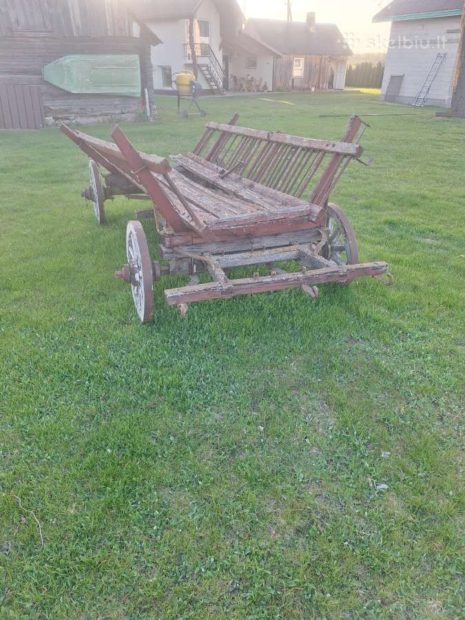 Arklinis vežimas - nuotraukos Nr. 4