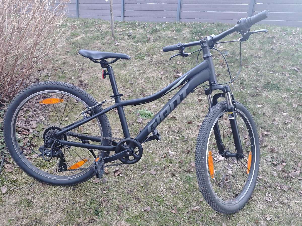 Vaikiškas dviratis Giant Xtc24