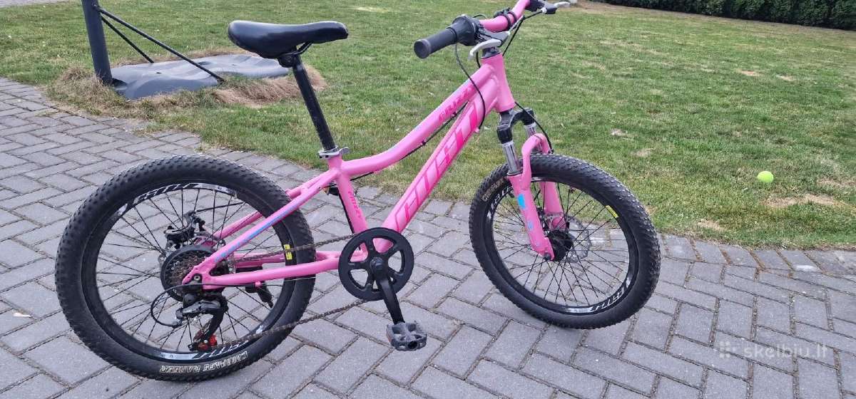 Vaikiškas dviratis Fuji Frizz