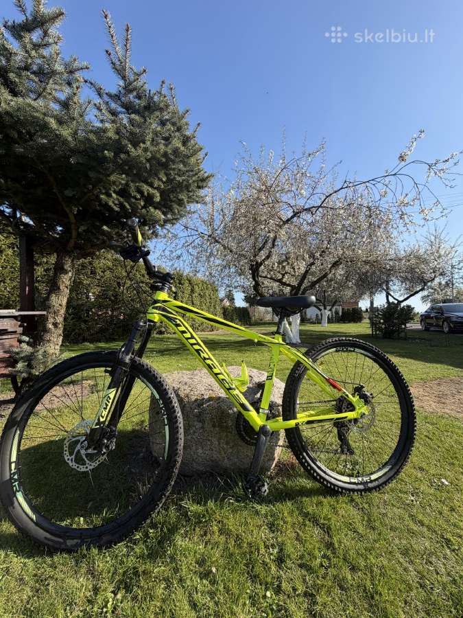 Hardtail Mirage dviratis.