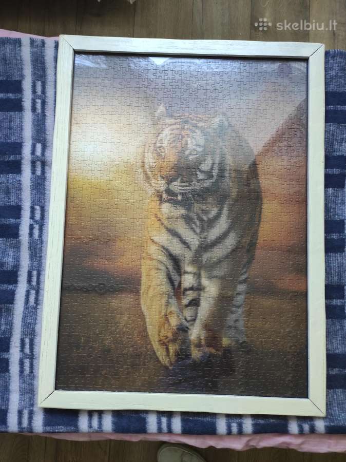 Paveikslas puzzle tigras