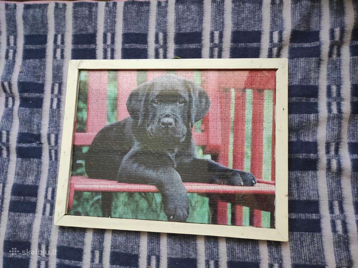 Paveikslas puzzle