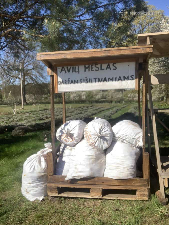 Avių mėšlas,trasos
