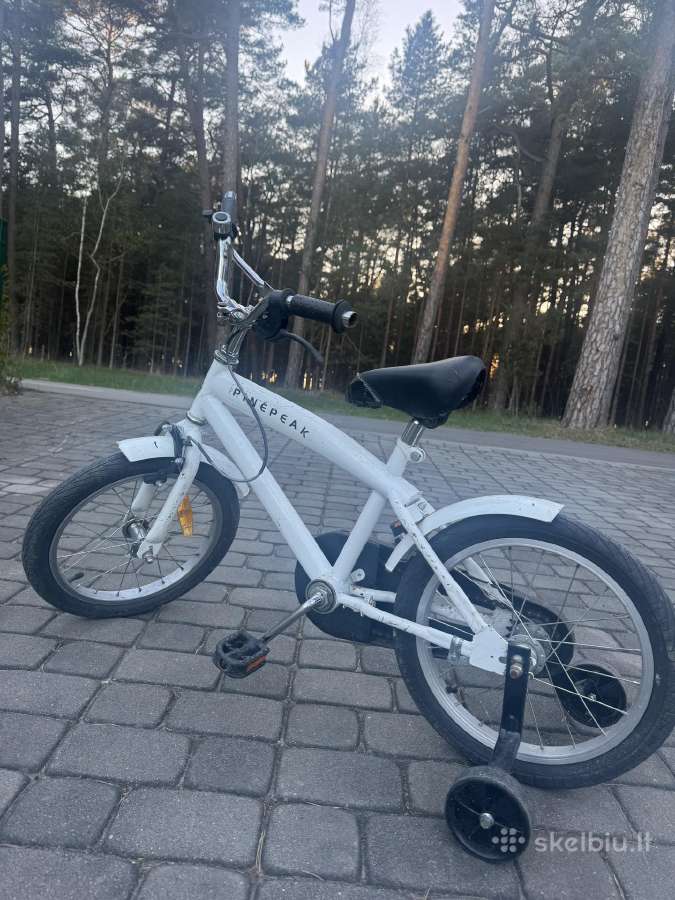 Vaikiškas dviratis Pinepeak