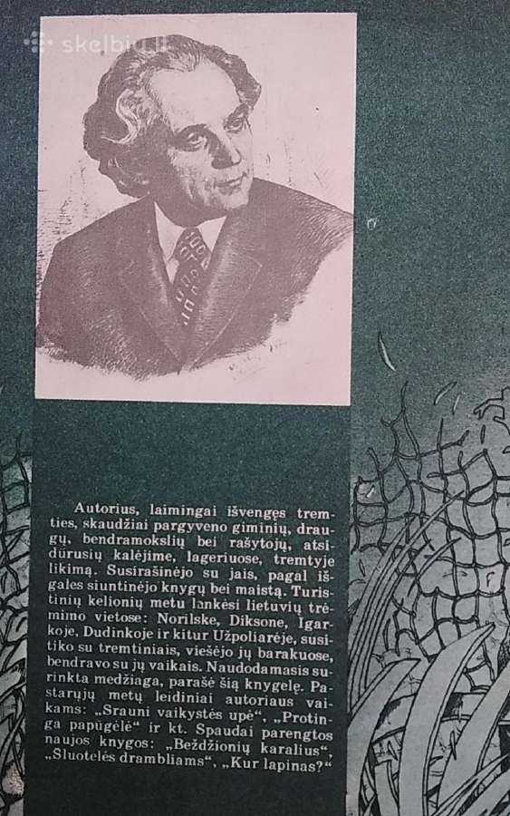 Ledo ašara - nuotraukos Nr. 5