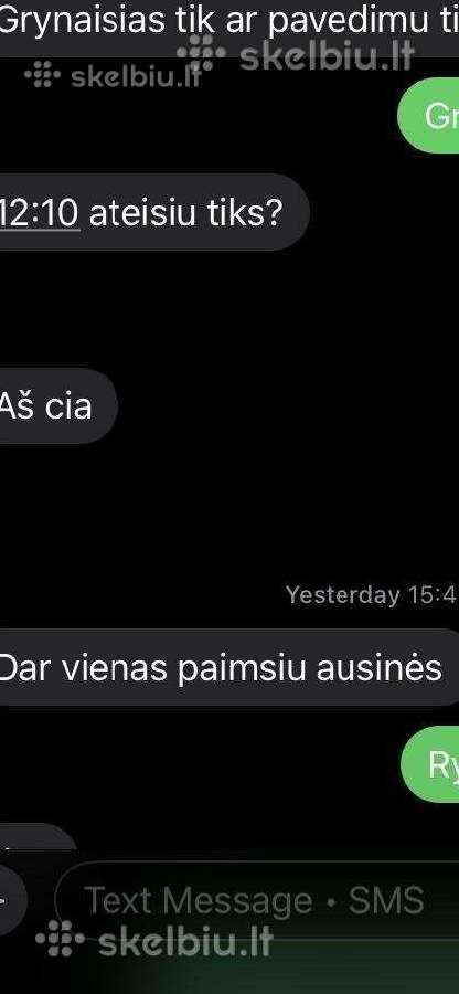 Ausinės pro 2 ir pro3 pabandymas prieš perkant - nuotraukos Nr. 14