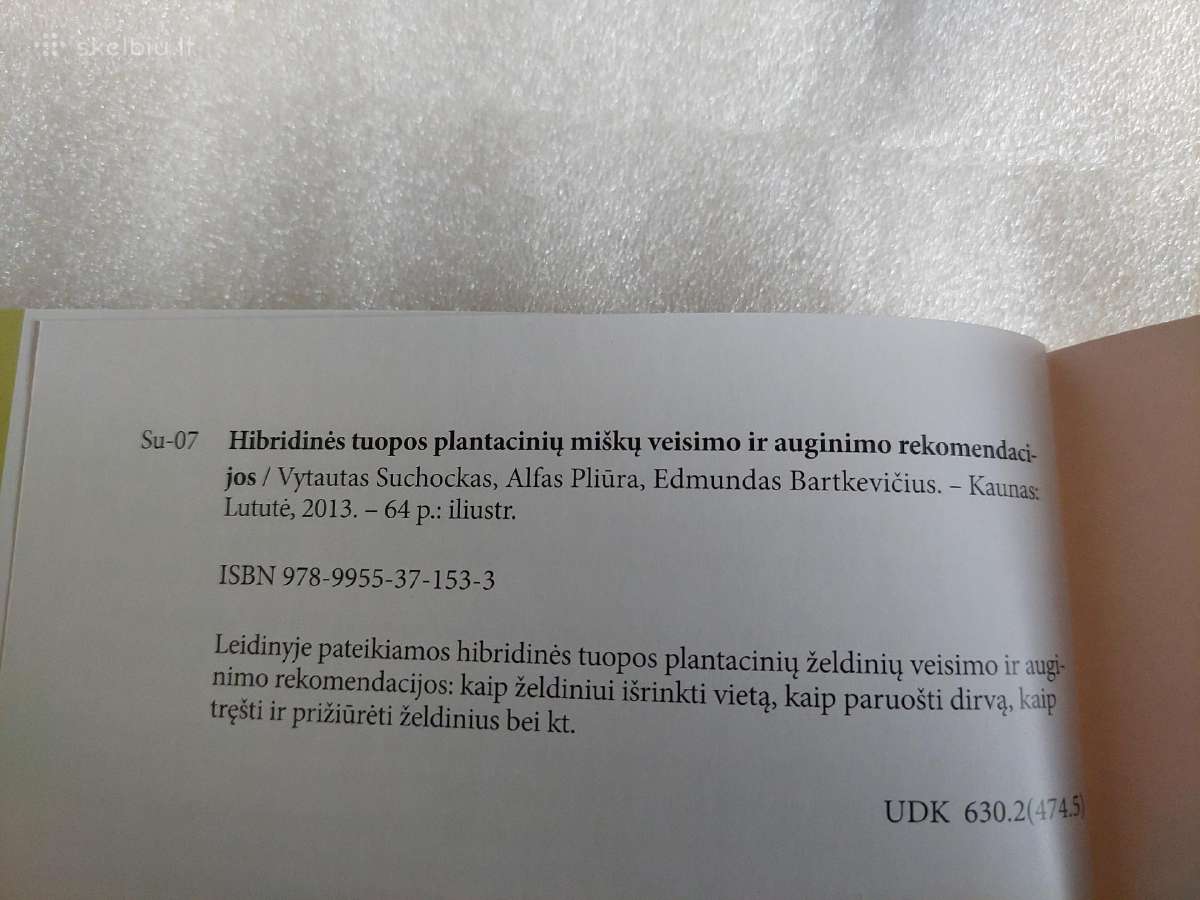 Hibridinės tuopos plantacinių miškų veisimo ir aug - nuotraukos Nr. 7