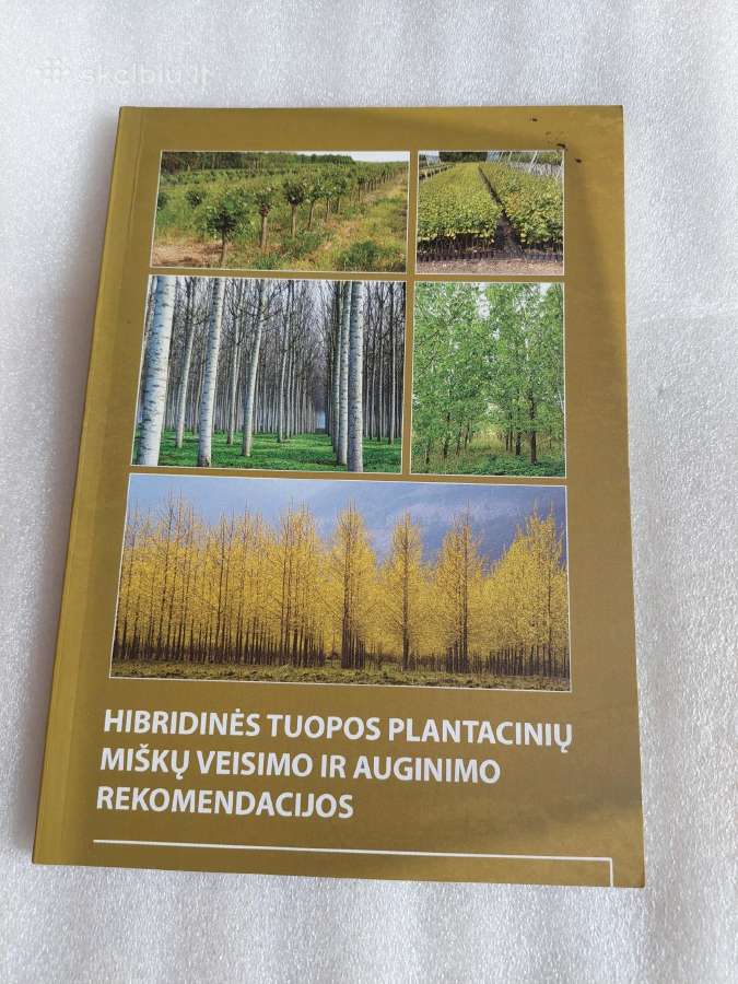 Hibridinės tuopos plantacinių miškų veisimo ir aug