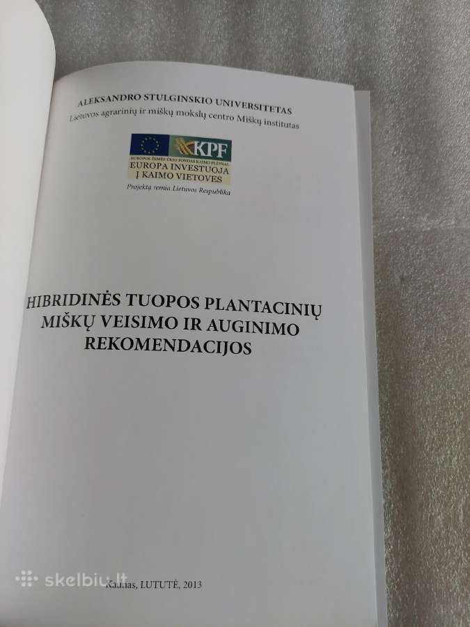 Hibridinės tuopos plantacinių miškų veisimo ir aug - nuotraukos Nr. 2