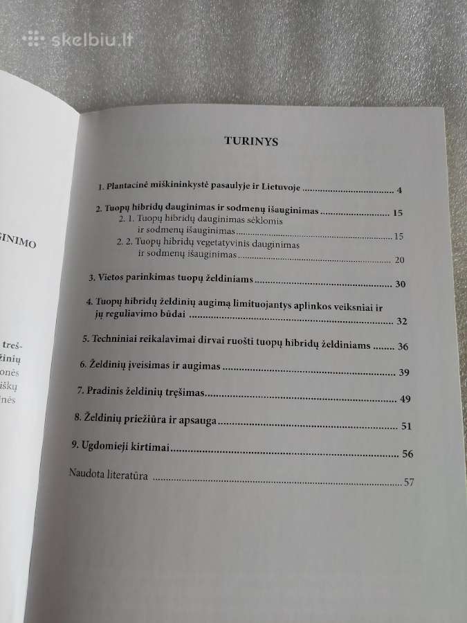 Hibridinės tuopos plantacinių miškų veisimo ir aug - nuotraukos Nr. 3