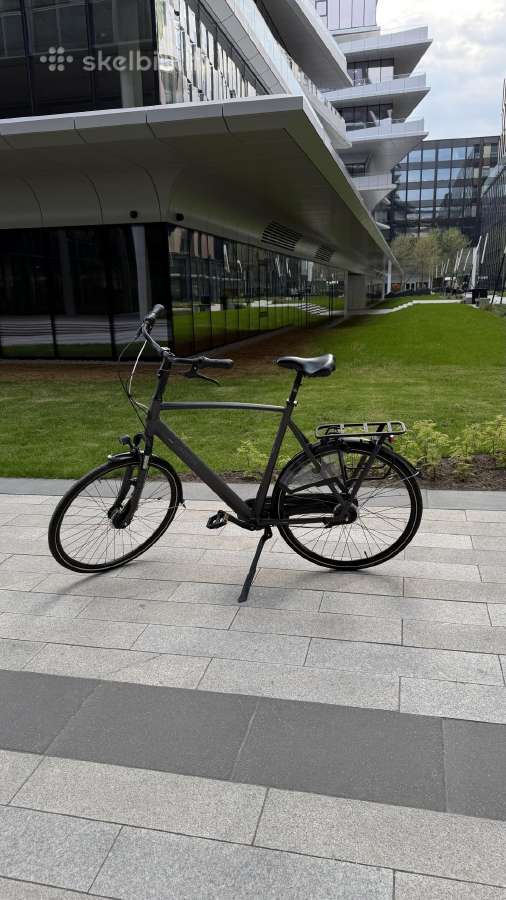 Gazelle Orange C7 XXL aukštam vyrui