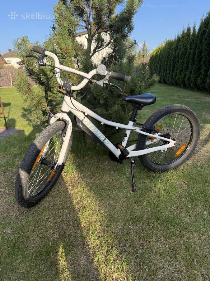 Specialized 20