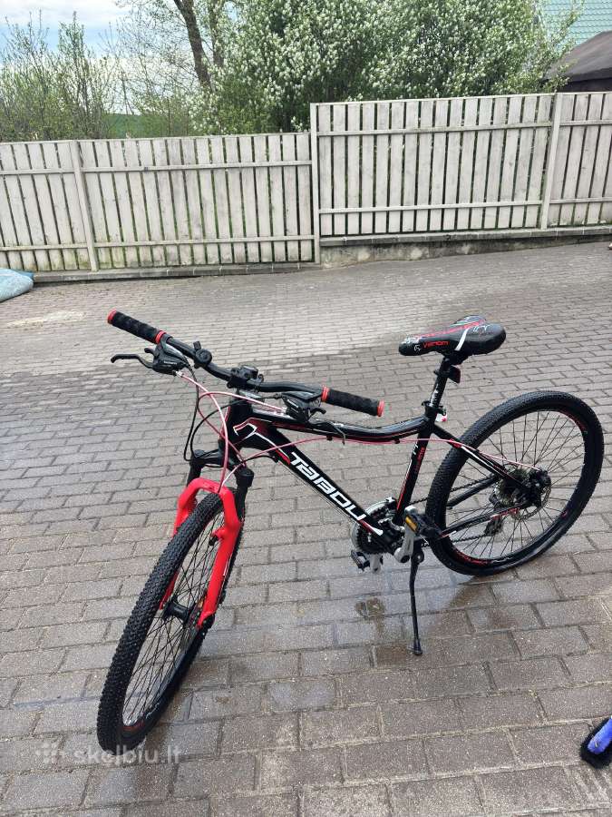 MTB dviratis Tabou Venom