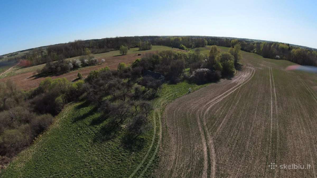 Parduodama sodyba su zemes sklypu 5,6ha - nuotraukos Nr. 10