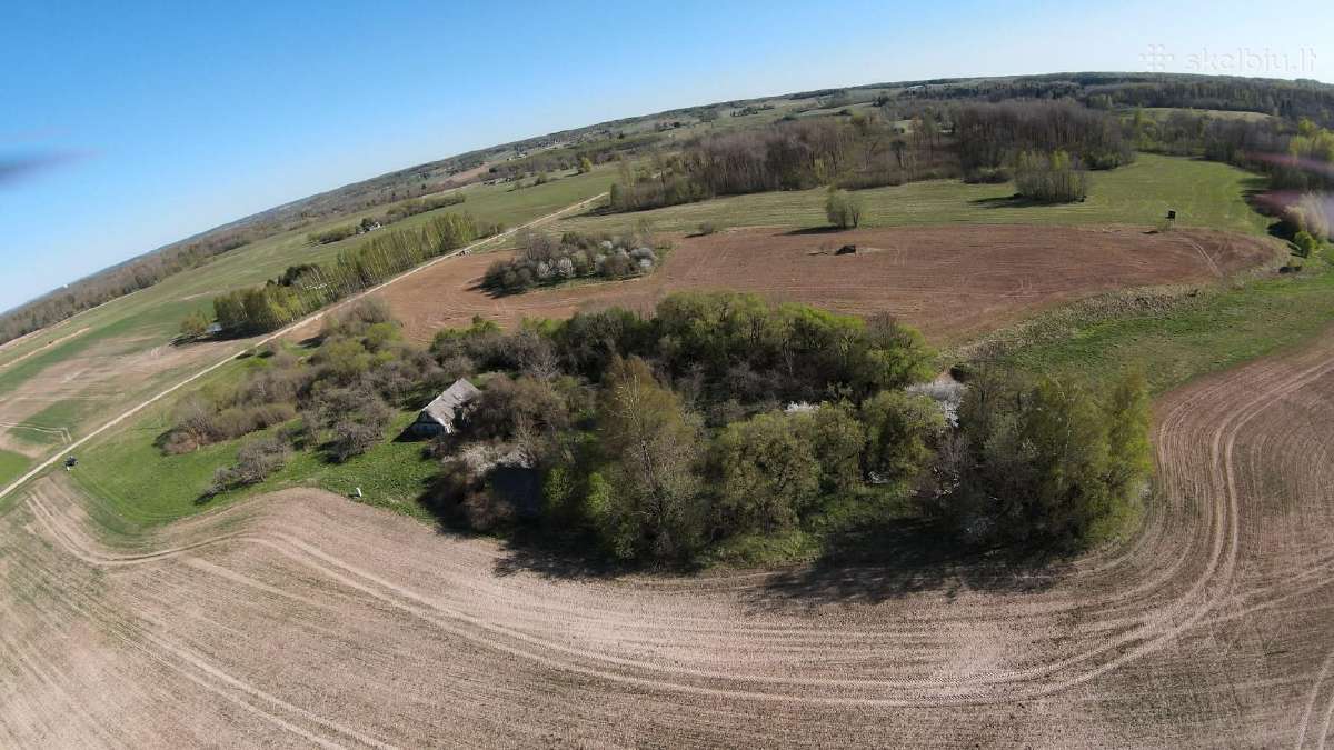 Parduodama sodyba su zemes sklypu 5,6ha - nuotraukos Nr. 12