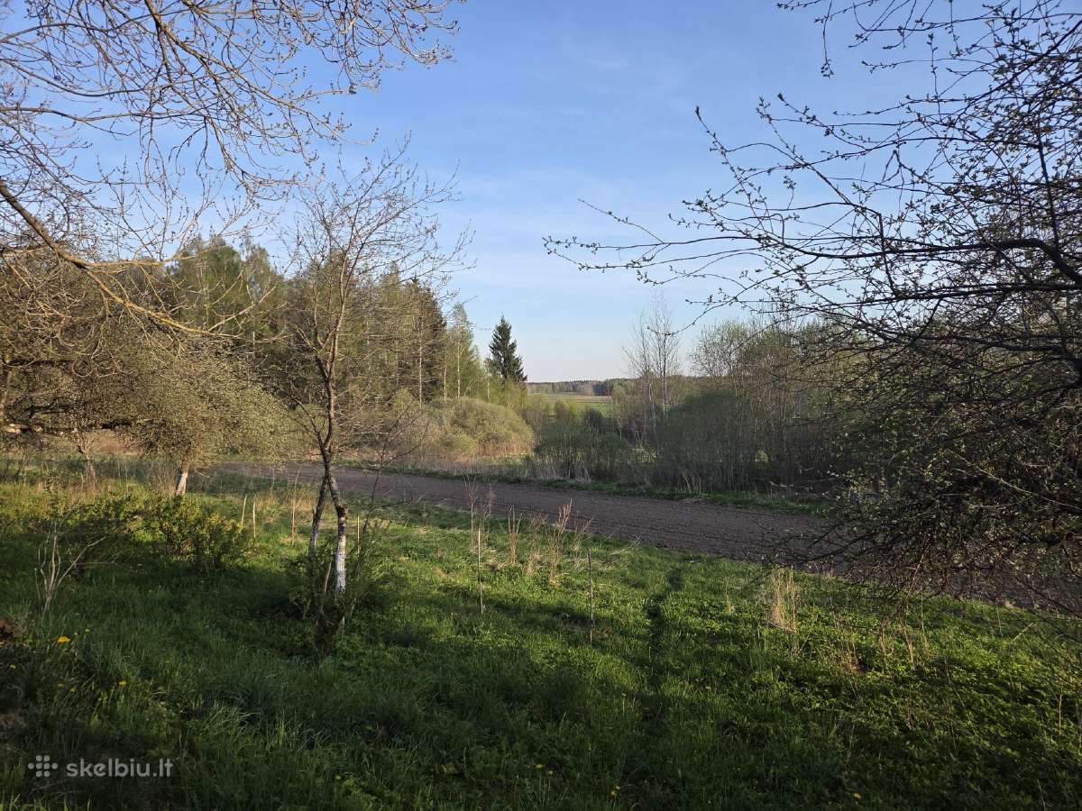 Sodyba su mišku,tvenkiniu ir pirtimi- Šilales Raj. - nuotraukos Nr. 9