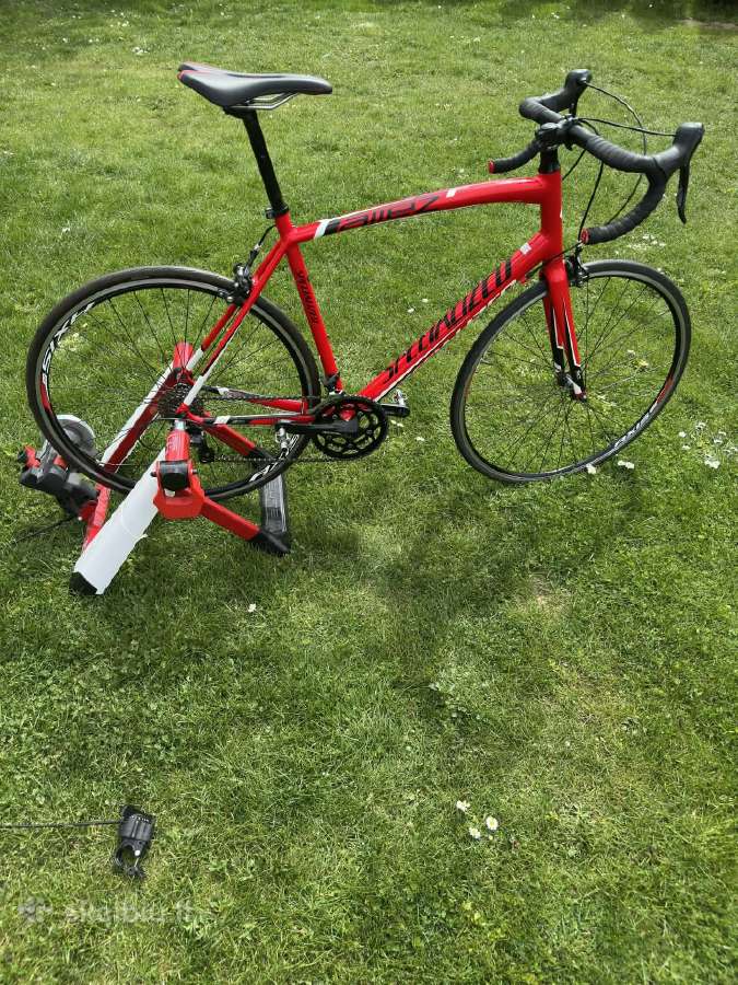 Specialized Allez plento dviratis