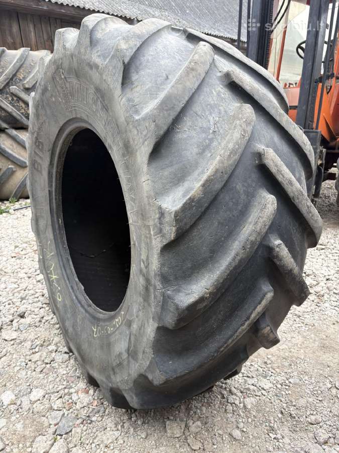 600/70/r30 Michelin padanga - nuotraukos Nr. 2
