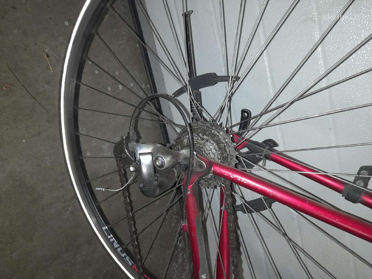 Bianchi,columbus,campagnolo,wheeler - nuotraukos Nr. 17