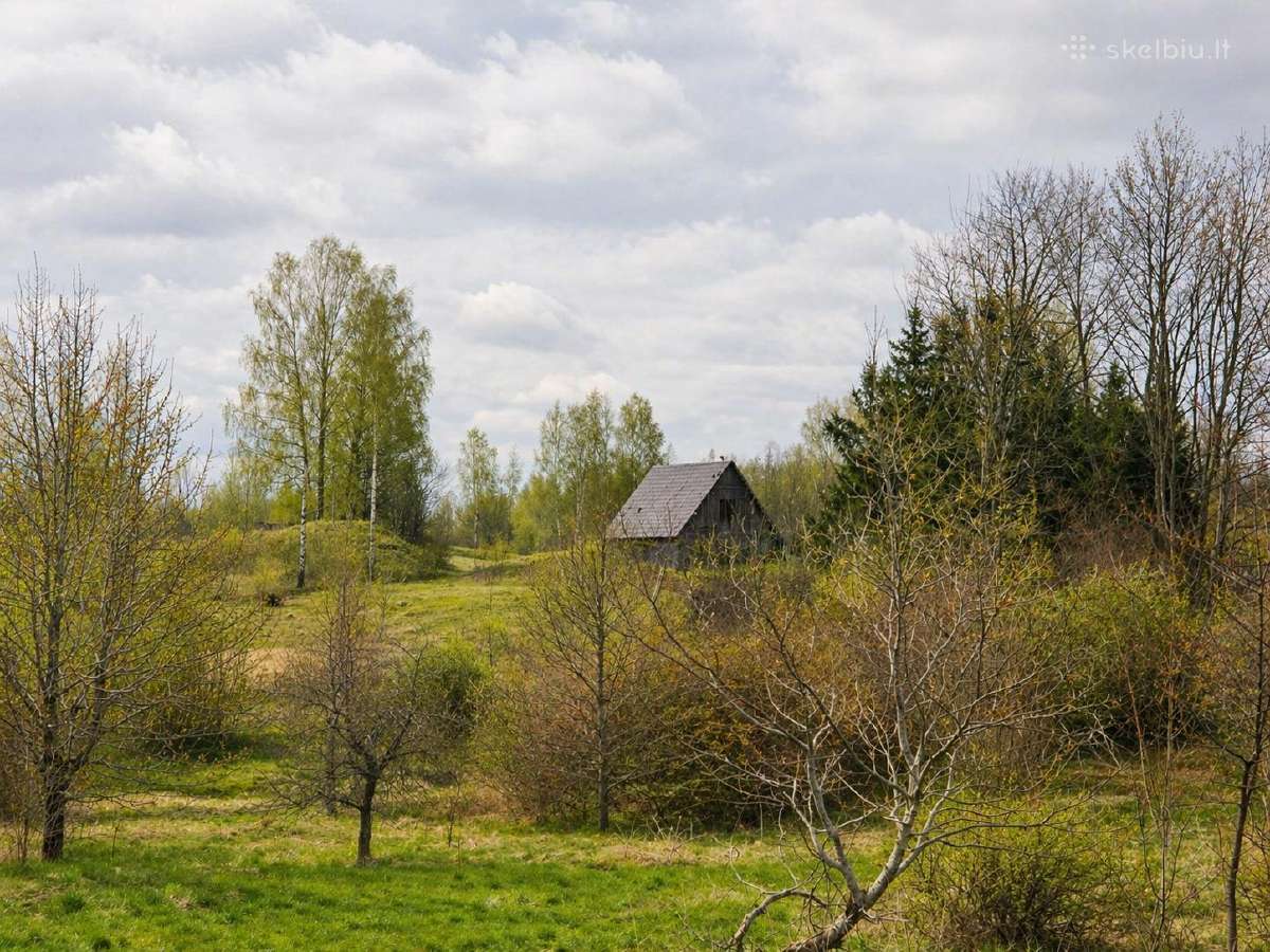 Parduodamas Namas Šalia Labanoro Girios 200m2 - nuotraukos Nr. 3