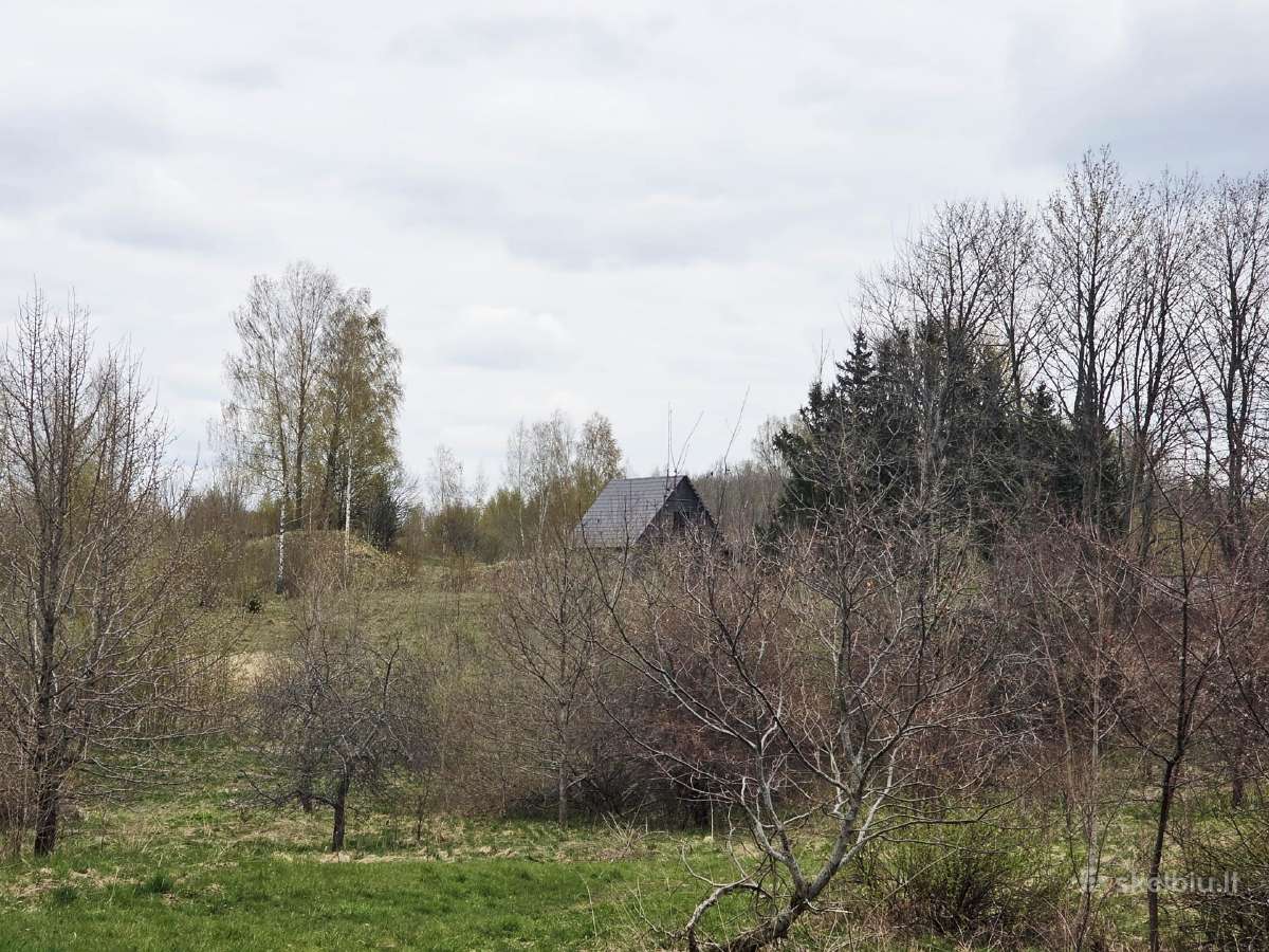 Parduodamas Namas Šalia Labanoro Girios 200m2 - nuotraukos Nr. 8