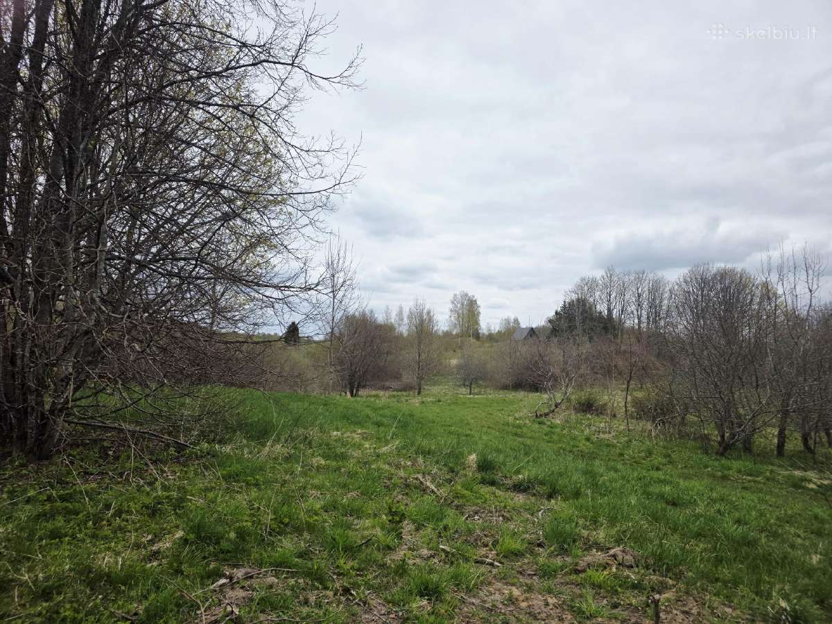Parduodamas Namas Šalia Labanoro Girios 200m2 - nuotraukos Nr. 11