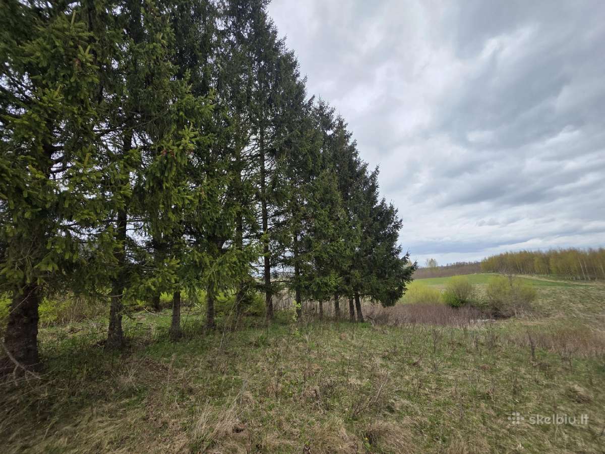Parduodamas Namas Šalia Labanoro Girios 200m2 - nuotraukos Nr. 15