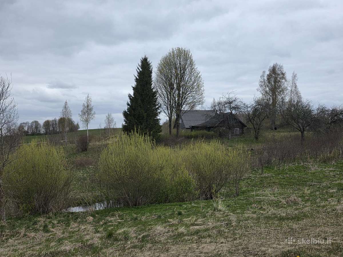 Parduodamas Namas Šalia Labanoro Girios 200m2 - nuotraukos Nr. 20