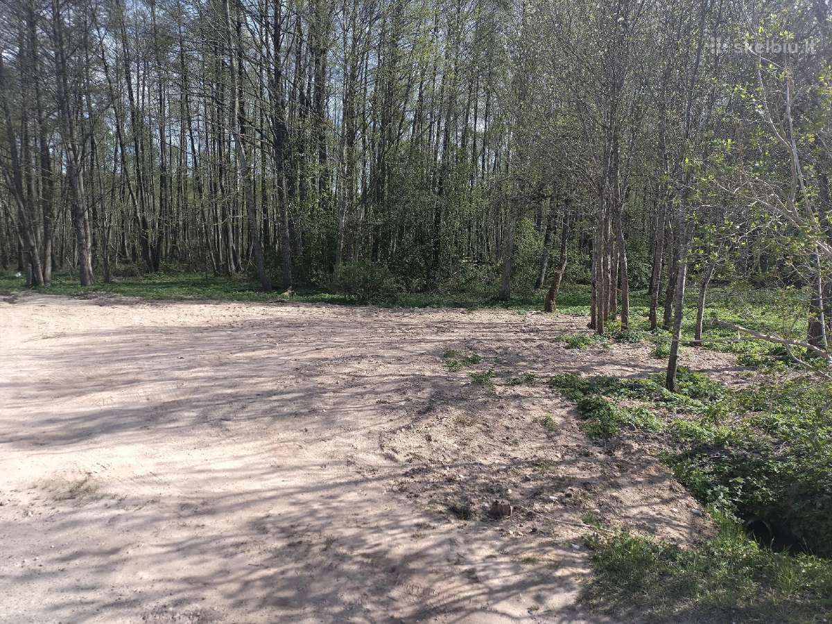 Sklypai netoli Drūkšių ežero