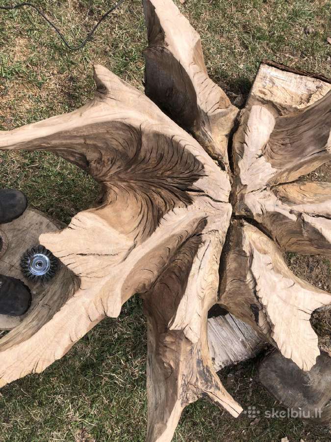 Ruošinys staliukui iš 100-ečio ąžuolo šaknies - nuotraukos Nr. 11