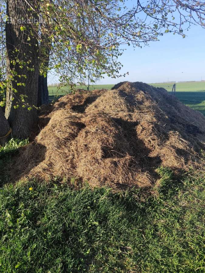 Mėšlas