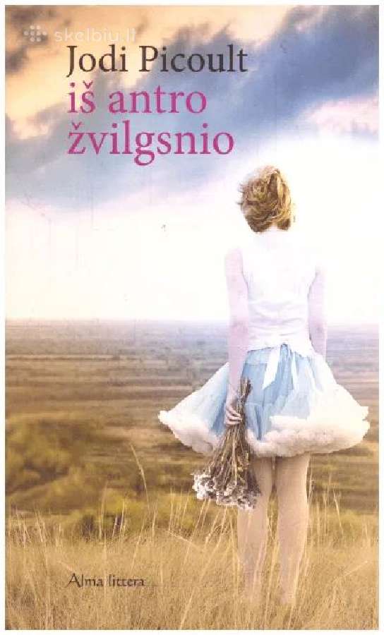 J.picoult "Mano sesers globėj.", "Iš antro žvilgsn