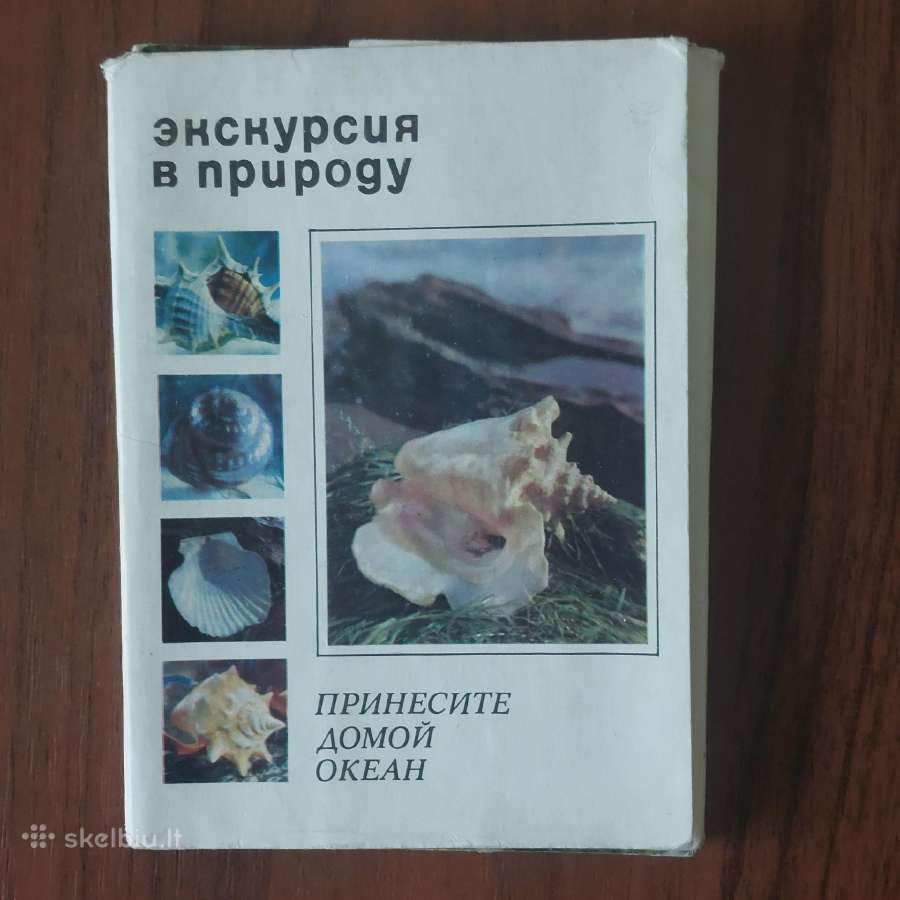 Atvirukų rinkinys - Jūros kriauklės ( 25 atv. )